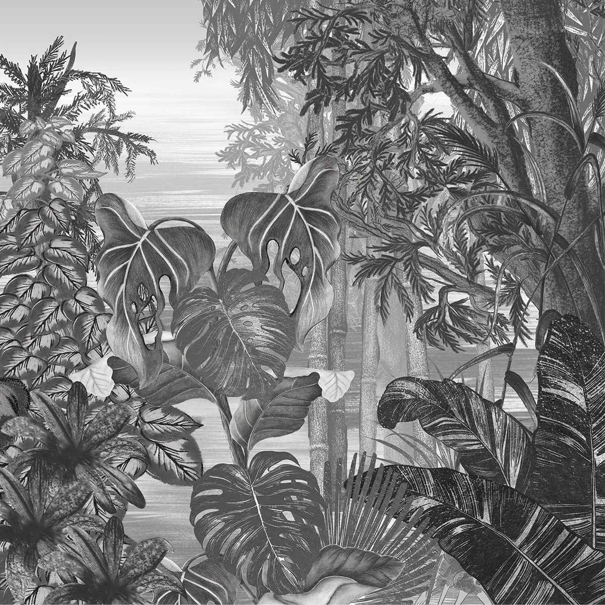 Life in Nature Black & White Jungle Wallpaper